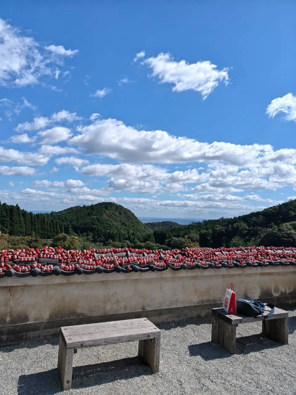 達摩與山景